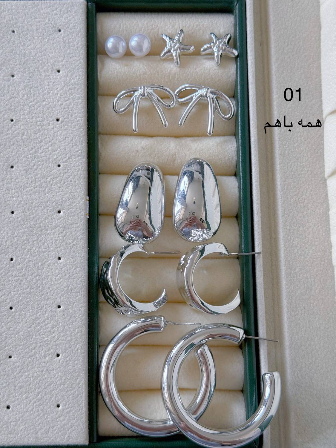 پک گوشواره كد1854 ابکاری نقره/۶جفتی/جنس میخ استیل/ ضدحساسیت/ وارداتی/بسیارسبک درگوش