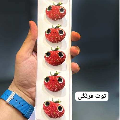 گیره مو استیکری فانتزی عروسکی و خاص/گزينه انتخاب كنيد